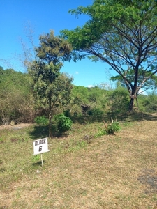 Lot For Sale In Dalig, Antipolo