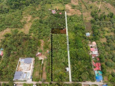 Lot For Sale In Diego Silang, Cavite City