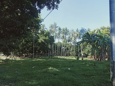 LOT FOR SALE IN DUMAGUETE CITY