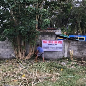 Lot For Sale In Minante I, Cauayan
