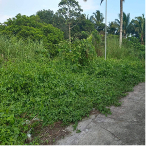 Lot For Sale In Minantok Silangan, Amadeo