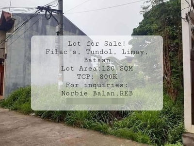 Lot For Sale In Reformista, Limay
