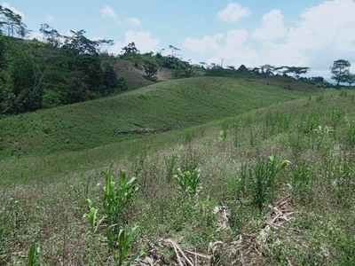 Lot For Sale In Salucot, Talakag