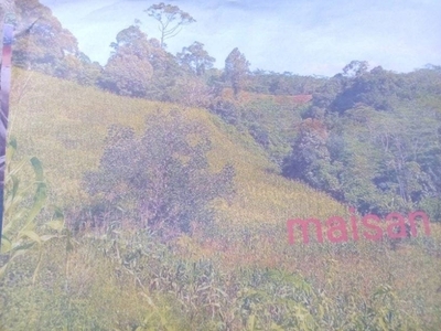 Lot For Sale In Salucot, Talakag
