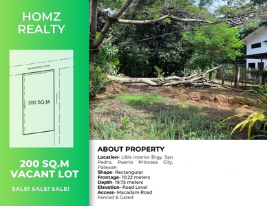 Lot For Sale In San Pedro, Puerto Princesa