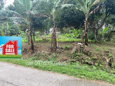 Ren Titled Lot for Sale 1093sqm