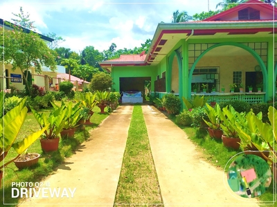 Spacious 4 Bedroom House and Garden in Bohol