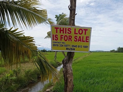Farm Lot For Sale in Brgy. Towak, Matan ao Davao del Sur
