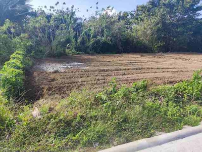 Lot For Sale In Amadeo, Cavite