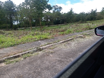 Lot For Sale In Bagumbayan, Angono
