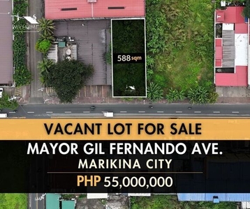 Lot For Sale In Barangka, Marikina