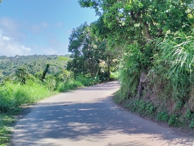Lot For Sale In Cahil, Calaca