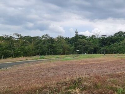 Lot For Sale In Calabuso, Tagaytay