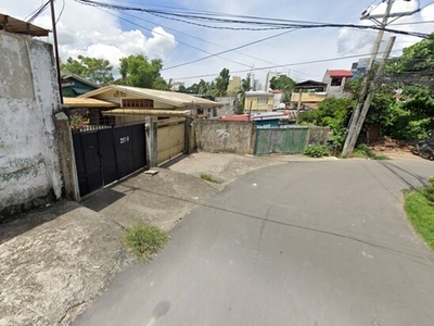 Lot For Sale In Camputhaw, Cebu