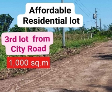 Lot For Sale In Pacol, Naga