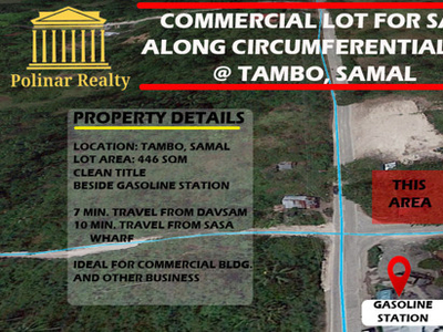 Lot For Sale In Tambo, Island Of Garden Samal, Samal
