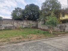 Lot for Sale - Robinsons Vineyard
