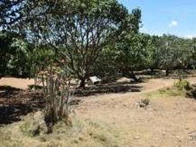 Land and Farm for sale in Amlan