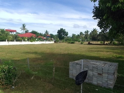 Lot For Rent In Panglao, Bohol