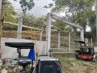 Lot For Sale In Barangay I, Amadeo