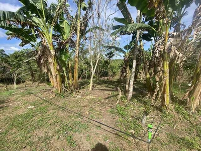 Lot For Sale In Loma, Amadeo