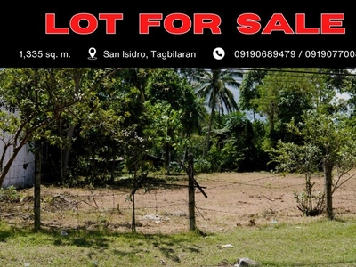 Lot For Sale In San Isidro, Tagbilaran