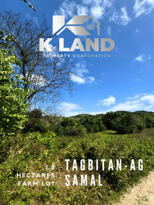 Lot For Sale In Tagbitan-ag, Island Of Garden Samal, Samal