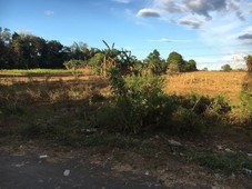 3.4 HECTARES LAND FOR SALE IN DASMARI?AS CAVITE