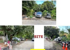 bank foreclosed, vacant lot, VERMILLION STREET, CAMELLA SPRINGVILLE CENTRAL PHASE 1, BRGY. MOLINO, BACOOR, CAVITE
