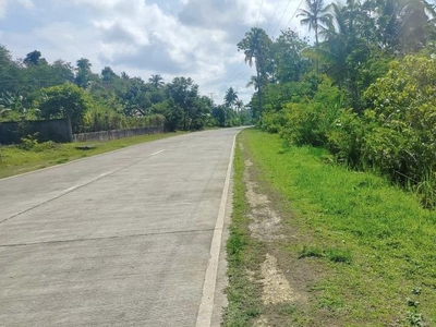 Agricultural Lot for sale in Tubigon
