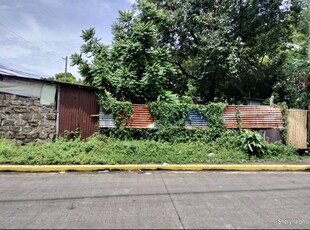 Semi Commercial Lot for Sale in Pamplona Tres, Las Pinas City