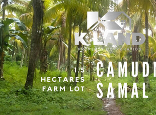 Camudmud, Island Of Garden Samal, Samal, Lot For Sale