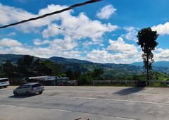 Commercial Lot property for sale in Marilog, Davao, Davao del Sur