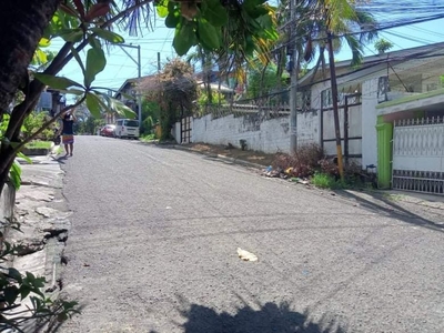 6 Bedrooms House and lot for sale in Banawa, Cebu city