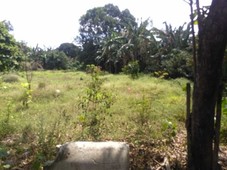 RUSH SALE LOW PRICE 2 HECTARES LOT ALONG BY-PASS ROAD BUSTOS BULACAN GOOD FOR WAREHOUSE AND FACTORY