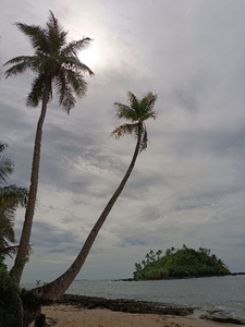 Dagohoy Island in Siargao for sale