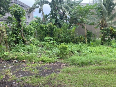630 sqr/m Land With 2 story house for sale in Bagumbayan Ligao, Albay
