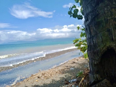 Beachfront Lot For Sale in Idiacacan, Pandan, Antique, Western Visayas