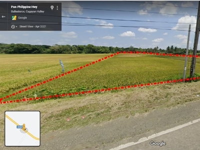 For Sale 16,323 sq. meters Lot along National Highway, Ballesteros