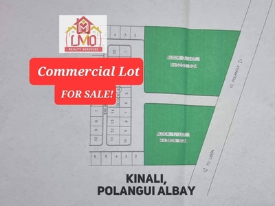 For Sale 5,251 sq. meters Commercial Lot in Polangui, Albay - Clean Title