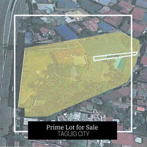 Lot For Sale In Fort Bonifacio, Taguig