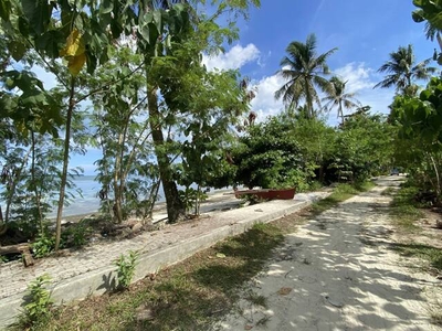 Lot For Sale In Malinao, General Luna