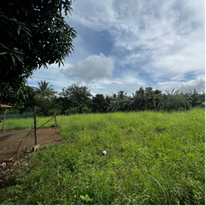 Lot For Sale In Maymangga, Amadeo