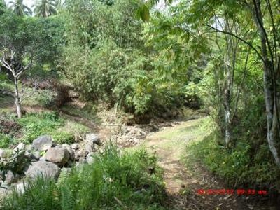 5 Hectare Fruit bearing Farm For Sale Philippines