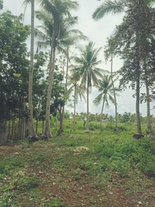 Agricultural Lot for sale in Anda