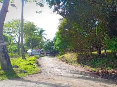 Agricultural Lot for sale in Guindulman