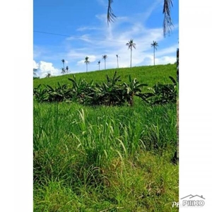 Agricultural Lot for sale in San Remigio