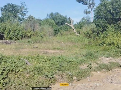 Agricultural Lot for sale in Talibon