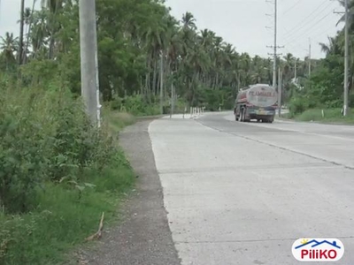 Commercial Lot for sale in Island Garden City of Samal