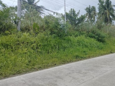 Commercial Lot for sale in Sagbayan